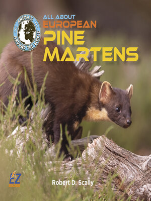 cover image of All About European Pine Martens